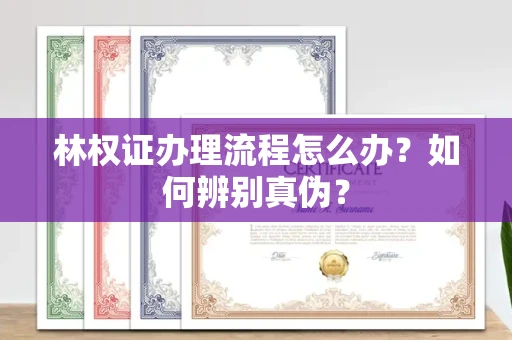 北京林权证办理流程怎么办?如何辨别真伪?